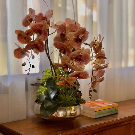 Pousada Jardins Сантарен Екстер'єр фото